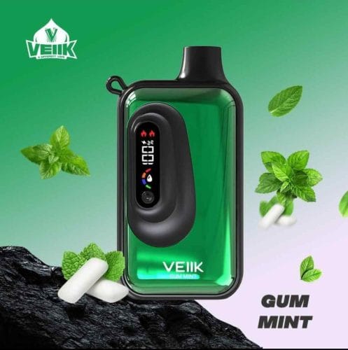 VEIIK Space VKK 20000 Puffs gum mint price in dubai