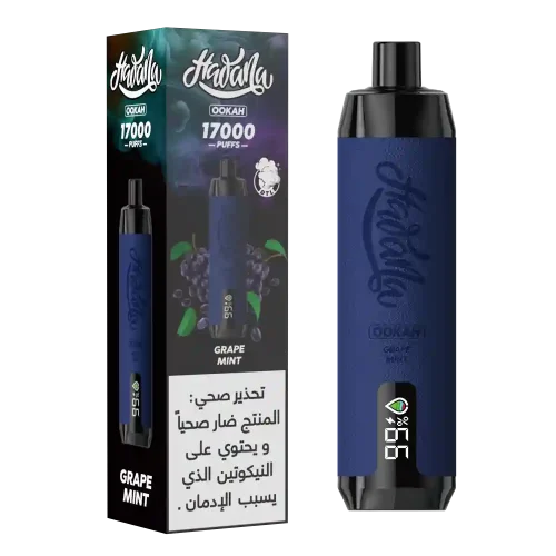 hawana-ookah-17000-puffs-disposable-vape-grape-mint