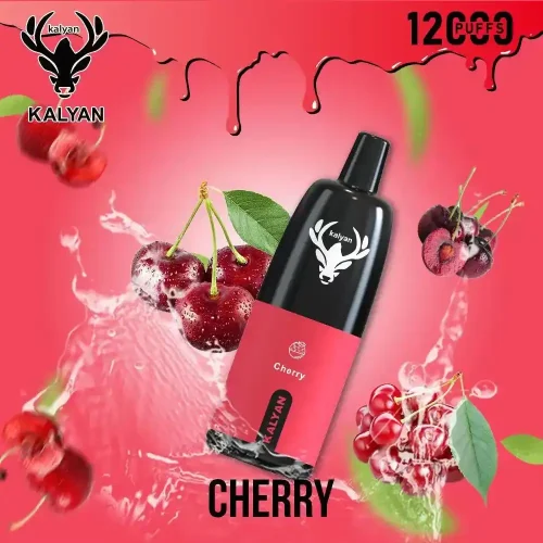 kalyan-pro-12000-puffs-disposable-vape-cherry