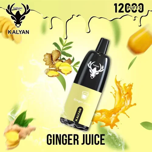 kalyan-pro-12000-puffs-disposable-vape-ginger-juice