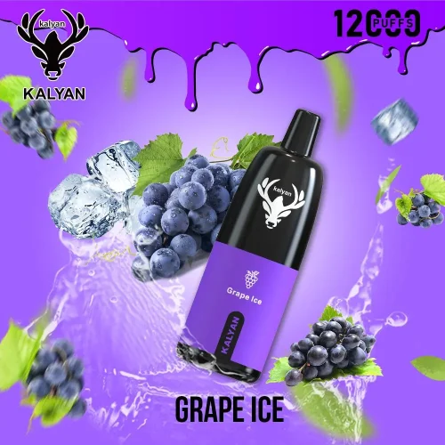 kalyan-pro-12000-puffs-disposable-vape-grape-ice