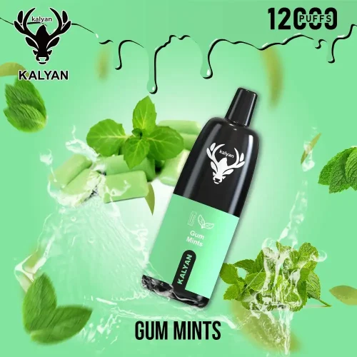 kalyan-pro-12000-puffs-disposable-vape-gum-mints