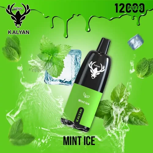 kalyan-pro-12000-puffs-disposable-vape-mint-ice