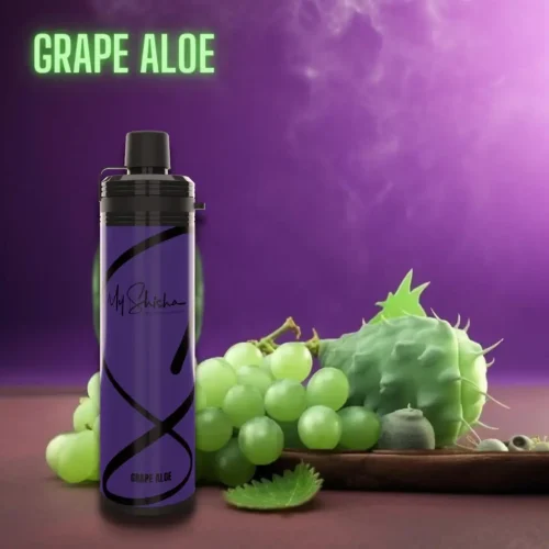 my-shisha-dtl-10000-puffs-disposable-vape-grape-aloe