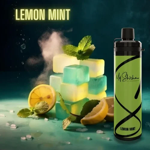 my-shisha-dtl-10000-puffs-disposable-vape-lemon-mint