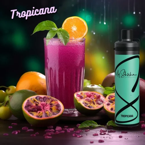 my-shisha-dtl-10000-puffs-disposable-vape-tropicana