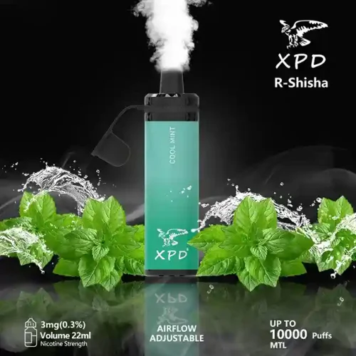 xpd-bar-r-shisha-10000-puffs-disposable-vape-cool-mint