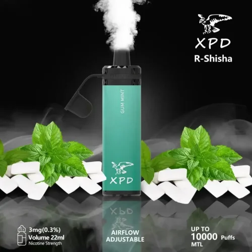 xpd-bar-r-shisha-10000-puffs-disposable-vape-gum-mint